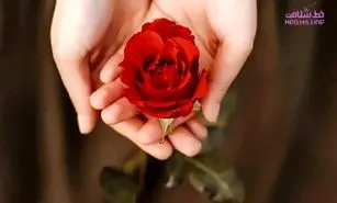 2 راهکار علمی برای شکاف ارگاسم رابطه زناشویی / اگر رضایت جنسی خوبی ندارید توصیه روانشناسان را بخوانید